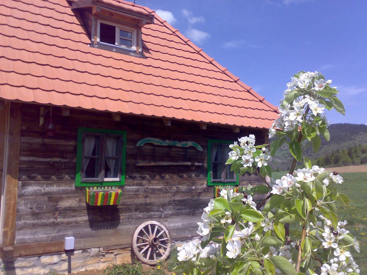 Apartments Sekler Rudno Bilik gambar